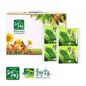 [㈜평창농업법인] 국내산 부추즙 (120mlX50팩)