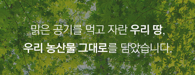 평창농업법인 회사소개